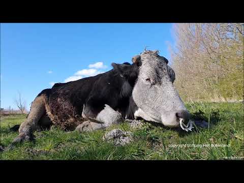 Willkommen, Fremde