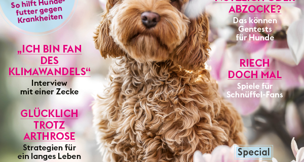 Artikel über die Tierkommunikatorin Sylvia Raßloff in der Zeitschrift Dogs